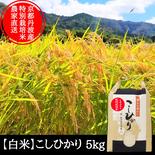 【白米】 5kg  新米 特別栽培米 こしひかり 京都府産 白米5kg　1袋 果物や野菜などのお取り寄せ宅配食材通販産地直送アウル