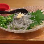 【お試し】✨春物新物✨🌊冷凍生しらす🐟🌊鮮度抜群静岡県遠州灘産生しらす🐟100ｇパック＊2 100グラム・２パック 果物や野菜などのお取り寄せ宅配食材通販産地直送アウル