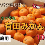 今シーズン残りわずか‼︎  有田みかん  訳あり 10kg 家庭用 10kg 果物や野菜などのお取り寄せ宅配食材通販産地直送アウル