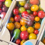 美農然カラフルトマト　2kg カラフルトマト2kg 果物や野菜などのお取り寄せ宅配食材通販産地直送アウル