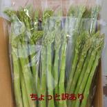 【朝採り】訳あり、あきらさん家のアスパラガス 夏芽 1.8kg 1.8kg 果物や野菜などのお取り寄せ宅配食材通販産地直送アウル