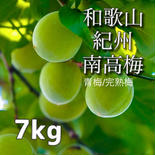 【家庭用】南高梅 大粒 7kg    青梅/完熟梅 7kg 果物や野菜などのお取り寄せ宅配食材通販産地直送アウル