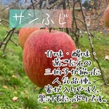サンふじ20玉贈答用５kg サンふじ20玉5kg 果物や野菜などのお取り寄せ宅配食材通販産地直送アウル