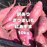 訳ありさつまいも紅あずま10kg 箱込みの10kg 果物や野菜などのお取り寄せ宅配食材通販産地直送アウル