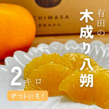 一政園　【木成り八朔】※皮むき器つき　2キロ　ギフトにも！　はっさく　さつき八朔 2キロ ギフトにも！ 果物や野菜などのお取り寄せ宅配食材通販産地直送アウル