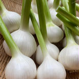 3㎏農薬・化学肥料不使用生ニンニク 3㎏(50個前後) 果物や野菜などのお取り寄せ宅配食材通販産地直送アウル
