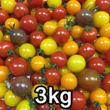 サザキ農園の『カラフルミニトマト』ミックスセット 3kg 3kg 果物や野菜などのお取り寄せ宅配食材通販産地直送アウル