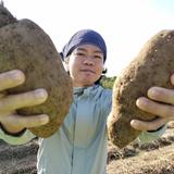 圧巻の栄養価！雲南百薬(おかわかめ)【900g】 | 野菜/葉物 産直アウル 