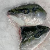 魚介類 ぶり の食材一覧 公式 産直アウル Owl 産地直送宅配通販サイト