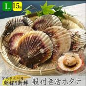 貝船 山岸丸のご紹介 女川町 産直アウル Owl 農家から直接野菜などの食材を購入できる産地直送の宅配通販サイト