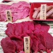 ②鹿焼肉セット 500g+5本 果物や野菜などのお取り寄せ宅配食材通販産地直送アウル