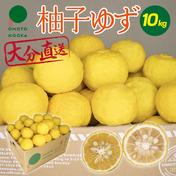 【11月18日以降発送】大分県宇佐市産 柚子（ユズ）【標準品】10kg （約60～100個）【送料込】 10kg KIRA☆YUZU 通販