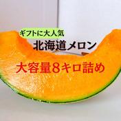 ギフト専門農家から！【北海道メロン】　大箱　８キロ 大箱８キロ 産直アウルギフト 通販
