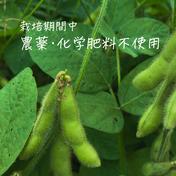 【特A土壌・送料込み】糸島産の農薬不使用枝豆「味風香」250g×4袋（1kg・レンジ対応袋付き） 1kg 【特A土壌・風味豊か】福岡県糸島産の特A土壌で育ったやさしい『きな粉』100g 通販