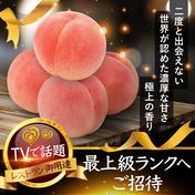 三ッ星桃農家 小野桃園のご紹介 山梨市 産直アウル 農家から直接野菜などの食材を購入できる産地直送の宅配通販サイト