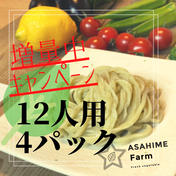 あさひめ生うどん『12人前4パック』 430g×4パック 果物や野菜などのお取り寄せ宅配食材通販産地直送アウル