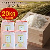 【令和5年産】茨城県産ミルキークイーンほたる20ｋｇ 20kg 【令和5年産】茨城県産ミルキークイーン　ほたる5kg 通販