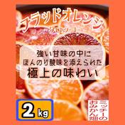 【四国 九州 本州のお客様用】《訳あり》みかん柑橘ミカン《ブラッドオレンジ 〝タロッコ〟》 ダンボール含め 2kg 【北海道＆沖縄のお客様用】フルーツ果物くだもの果実みかん柑橘《温州みかん／えひめ産》 通販