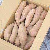 シルクスイート 20kg 兵庫県産 規格外LLL-LL-L