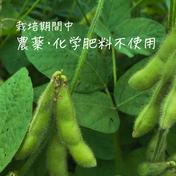 【特A土壌・送料込み】糸島産の農薬不使用枝豆「味風香」250g×14袋（3.5kg・レンジ対応袋付き） 枝豆3.5kg 【特A土壌・風味豊か】福岡県糸島産の特A土壌で育ったやさしい『きな粉』100g 通販