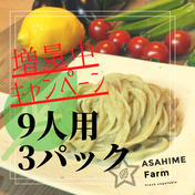あさひめ生うどん『9人前3パック』＋ジエノベソース 430g×3パック 果物や野菜などのお取り寄せ宅配食材通販産地直送アウル