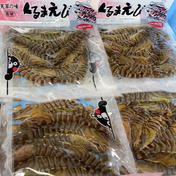 【お歳暮 冬ギフト対応可！】天草産 冷凍車海老 200g 200g前後 果物や野菜などのお取り寄せ宅配食材通販産地直送アウル