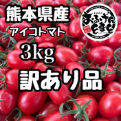 【訳あり品‼︎】熊本県産 完熟アイコ『おるげんとまと』 内容量3kg 【訳あり品‼︎】熊本県産 完熟アイコ『おるげんとまと』 通販