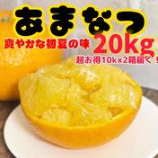 2930大人気コスパ◎5kg 10kgよりお得ミカン 20kg みかん 20kg