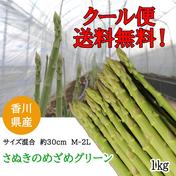 出荷当日の今朝採れ　「１ｋｇさぬきのめざめ３０ｃｍ　Ｍ～２Ｌ　ミックス」グリーンアスパラ 1ｋｇ 果物や野菜などのお取り寄せ宅配食材通販産地直送アウル