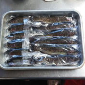 ニジマス約2kg 魚介類 川魚 Owl アウル 農家から直接野菜などの食材を購入できる産地直送の宅配通販サイト