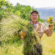 自然栽培 日向夏】4㎏箱詰-農薬不使用・無肥料・無除草剤 | 果物