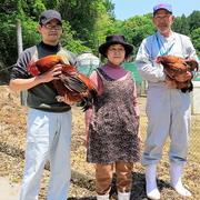 みやざき地頭鶏 メス1羽セット | 肉/鶏肉 産直アウル 農家から