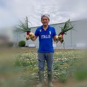 無農薬栽培 令和7年産 コシヒカリ10Kg ｜ 米・穀物/米/精米 産直アウル 