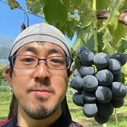 農薬節約栽培】 種なし巨峰 1房（約450g） 山梨県産 ｜ 果物/ぶどう