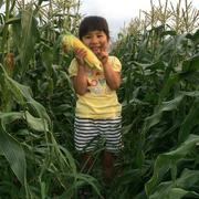令和7年度産 新米 ふさおとめ玄米30キロ | 米・穀物/玄米