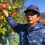 りんご紅白詰め7個〜9個入り | 果物/りんご 産直アウル 農家から直接