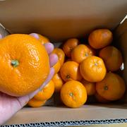 選果落】石地みかん10kg | 果物/温州みかん 産直アウル 農家から直接