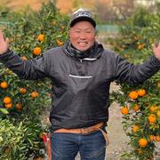 【こぎみゅん】広島県/瀬戸田産 はるか 8kg みかん こぎみゅん様専用】広島県/瀬戸田産 はるか 8kg みかん - メルカリ