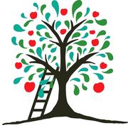 秋田県産　朝採れ　花山椒　120g クール便代込み　4/30 7時まで 秋田県産 朝採れ 花山椒 120g クール便代込み 4/30 7時