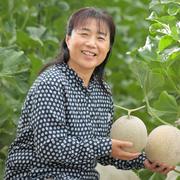 約1.6kg/60サイズ 子メロン 摘果メロン 浅漬けや粕漬けに いい食感です