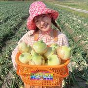 淡路島産''新たまねぎ''「にじたま」2.5㎏【極早生】 | 野菜/玉ねぎ