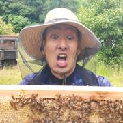 家庭用】ねばりっこ とりたて 10kg程度 長芋 とろろ ねばり 山芋 バラ