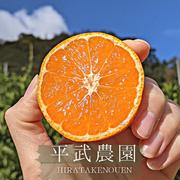農家直送！なつみオレンジ 訳あり5kg≪サイズ混合≫ ～蛍飛ぶ町から旬
