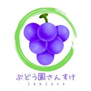 家庭用】ナガノパープル・1.5kg・2~4房 ｜ 果物/ぶどう 産直アウル