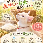 ラスト3袋、令和7年新米高知産コシヒカリ玄米30kgモチモチ美味しい