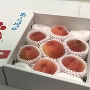 白鳳！家庭用☆あら川ブランド桃 ｜ 果物/もも 産直アウル 農家・漁師