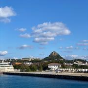 2025年収穫開始します😊🏝沖縄⛴伊江産で採れた👨‍🌾島らっきょう10kg