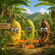 ナムワ系バナナ約6本〜12本 ｜ 果物/バナナ 産直アウル 農家・漁師など