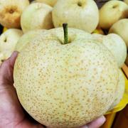味も形も新しい甘太梨5キロ箱家庭用 | 果物/梨 産直アウル 農家