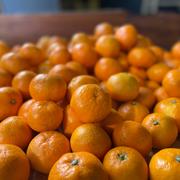 33)甘いと言ってしまう　小玉有田みかん　和歌山県有田産　みかん　果物 極早生 小玉 有田みかん 3キロ 和歌山 2s3sサイズ 産地直送 | 果物